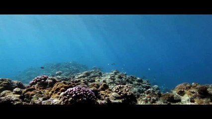 Futatsume no mado: Extract 1 HD VO st fr