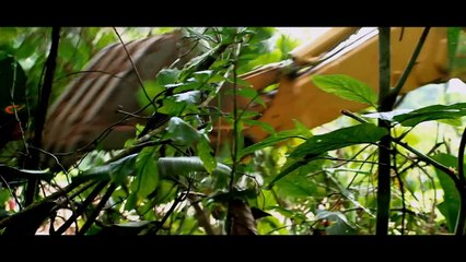 The Green Inferno: Trailer HD VO st bil/ OV tw ond