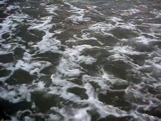 Praia da Enseada, Ubatuba, SP, Brasil, Marcelo Ambrogi, Saúde e Vida, 015