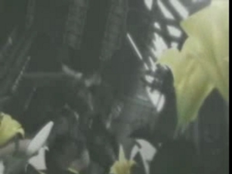 [AMV]FF7 advent children