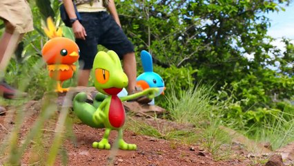 Pokémon Rubis Omega - SPOT TV US