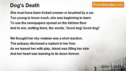 John Updike - Dog's Death