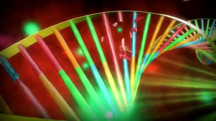 WEDECO LBX UV Dezenfeksiyon Sistemi