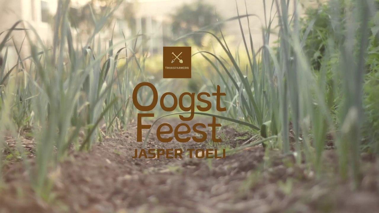 Oogstfeest