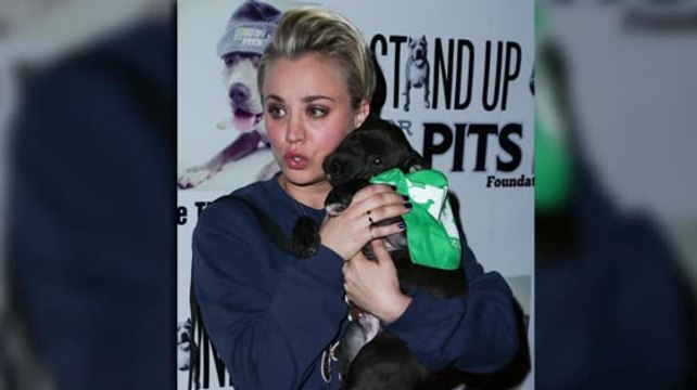 Kaley Cuoco, Kelly Brook And Elisha Cuthbert Stand Up For Pits