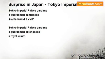 john tiong chunghoo - Surprise in Japan - Tokyo Imperial Palace