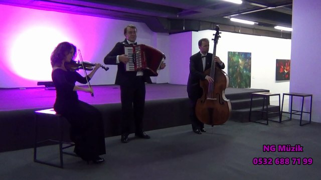 Keman,akordiyon,kontrabas,trio müzik grubu-NG Müzik