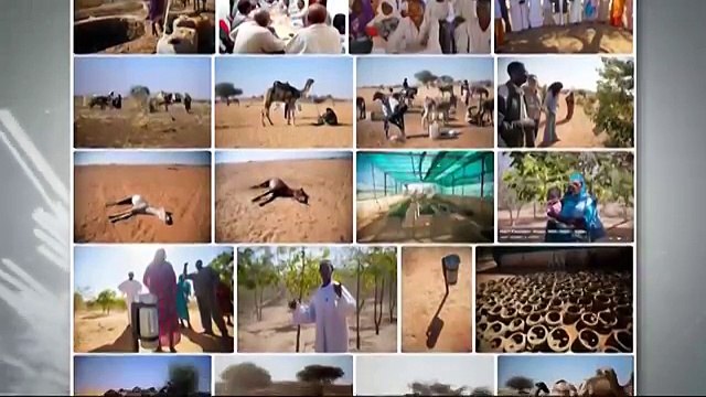 Espai Terra. Dilluns 3 de novembre.