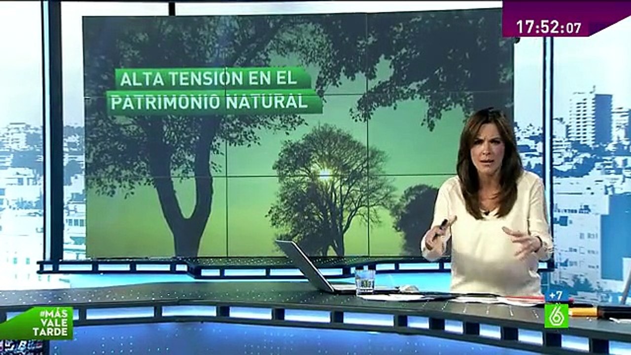 #MasValeTarde: Adiós a 2.000 árboles de novela [laSexta][2014][HDtvRIP]