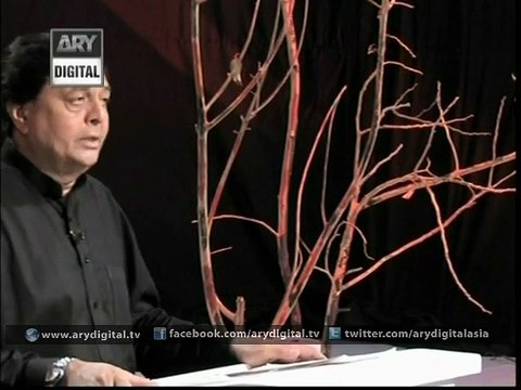 Marsia Meer Anees By Ali Raza 3rd November 2014