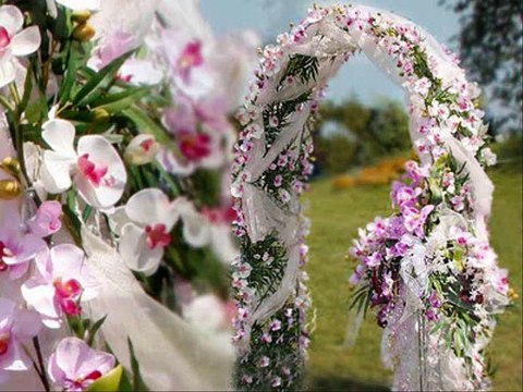 Струнный квартет Гравитация-String quartet Gravitation/ Свадебные церемонии