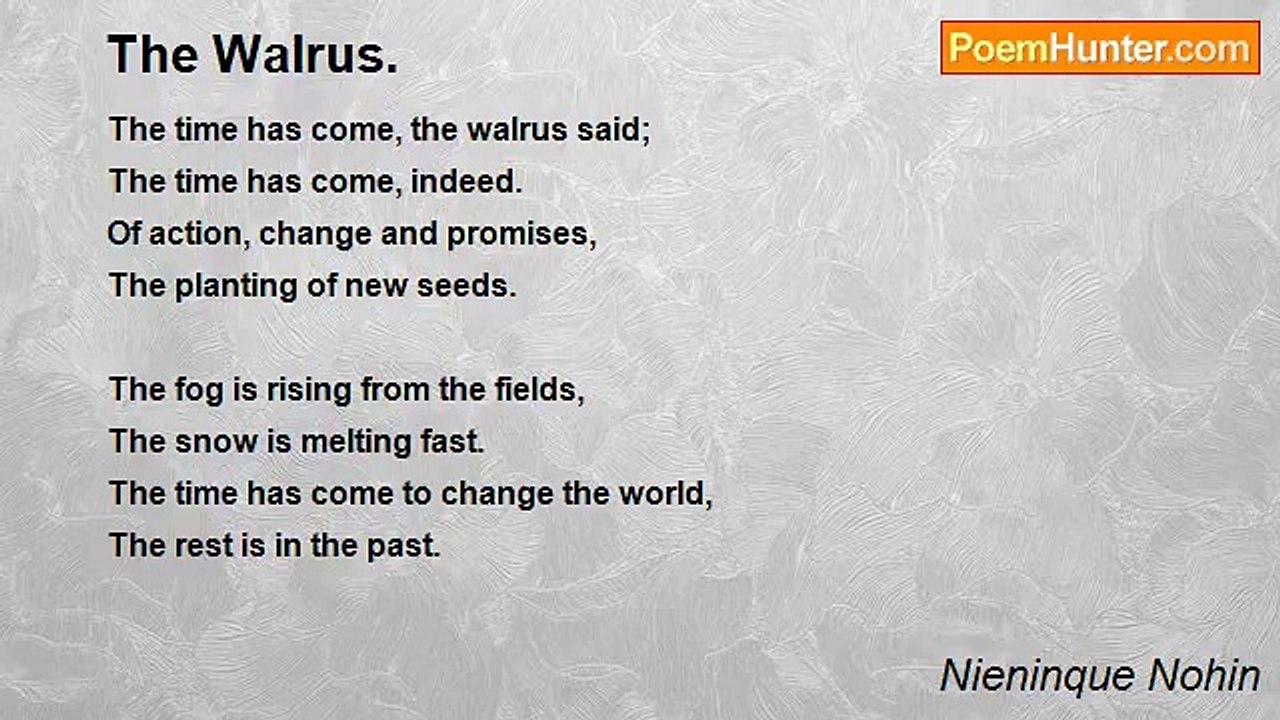Nieninque Nohin - The Walrus.