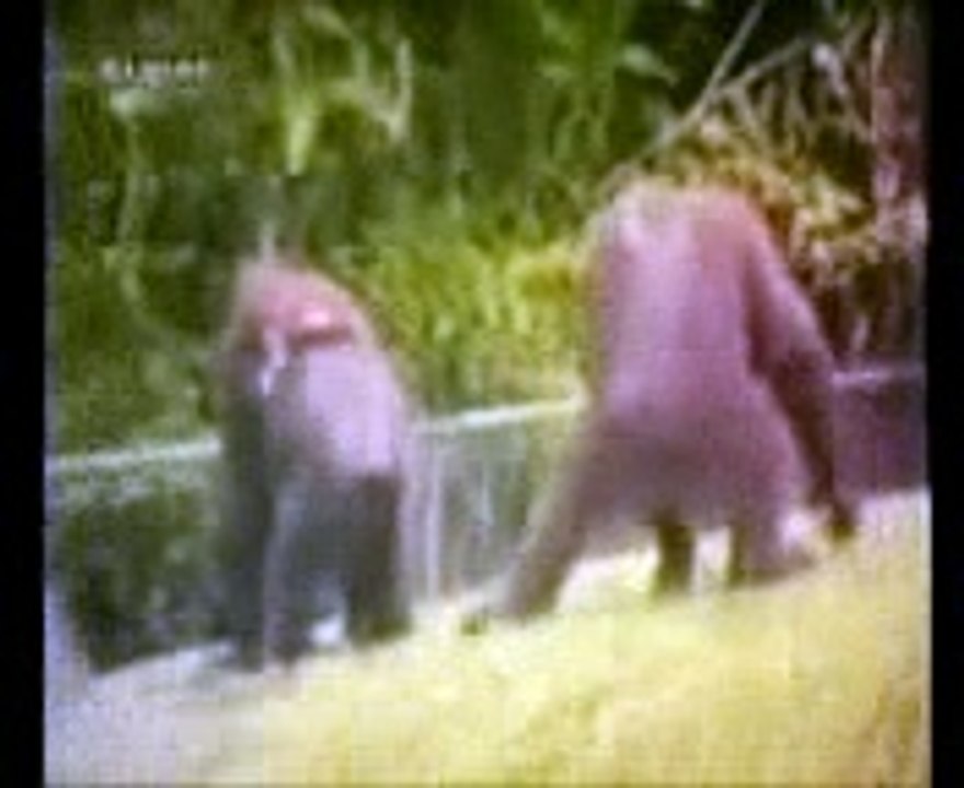 Naughty of Animals