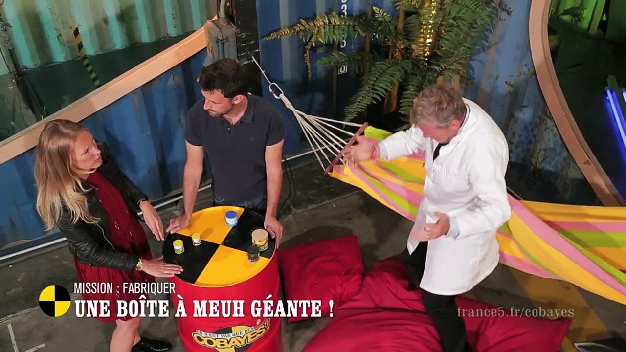 EM115 Mission : fabriquer une boîte à meuh géante !