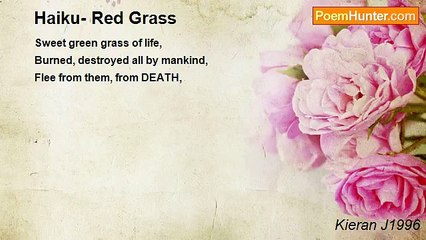 Kieran J1996 - Haiku- Red Grass