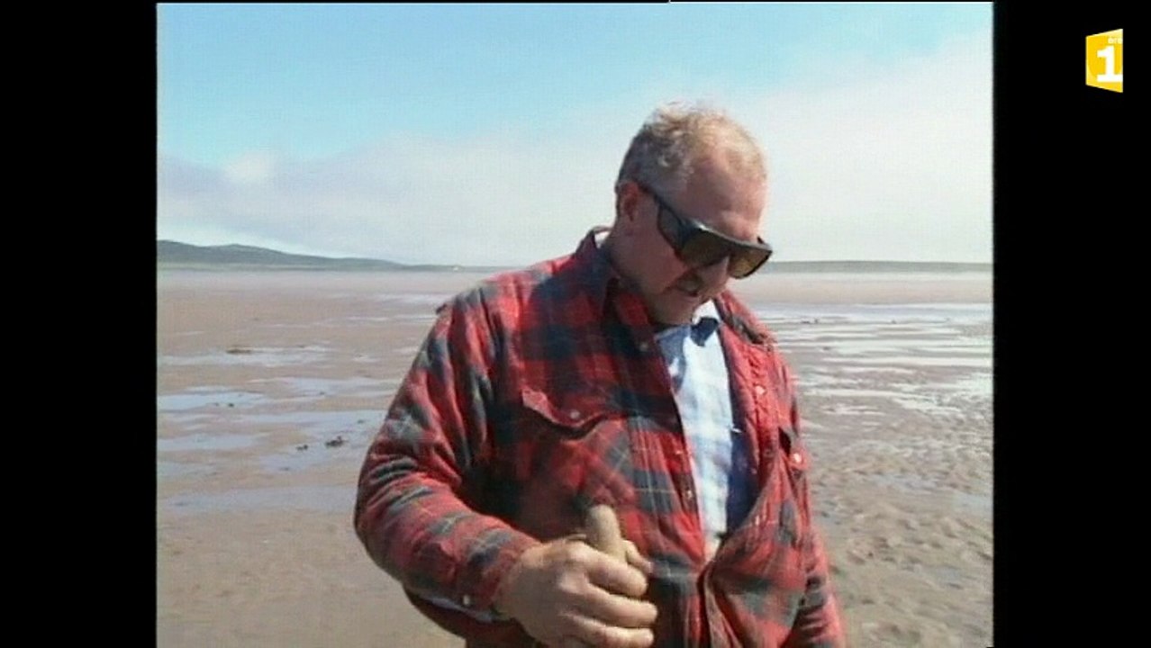 Archives sur la pêche à pied : les coquillages