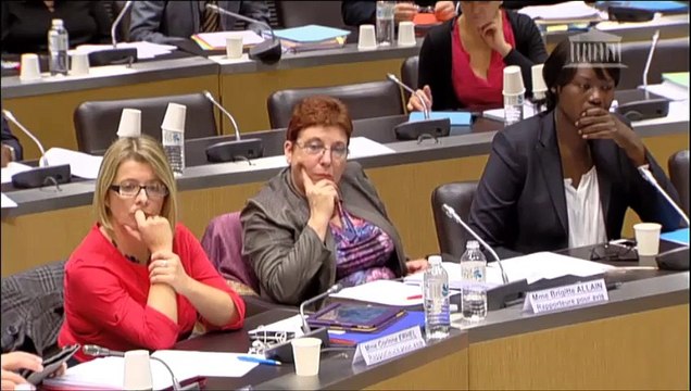 Seybah Dagoma - PLF 2015 - Crédits du Commerce extérieur / Mission Economie - 30 octobre 2014