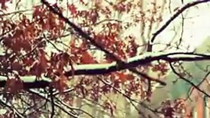 ‫نبی کریم ﷺ .اللہ کون ہے ا‬