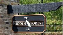 Hidden Forest Townhomes, Alpharetta Georgia Townhome Community-1