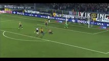 Cesena 1-0 Verona - Goal Defrel - 03-11-2014