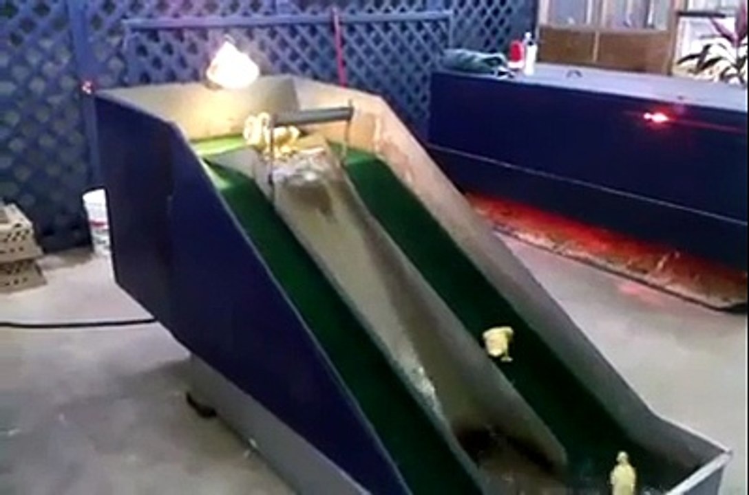 1598724_711558188864624_1659936551_n