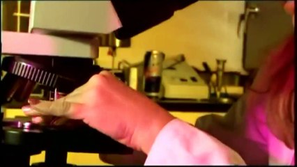 Beneficios Spirulina Dxn