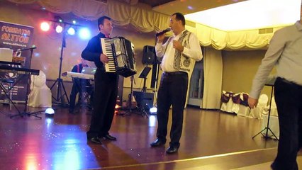 robert constantinescu si formatia altton