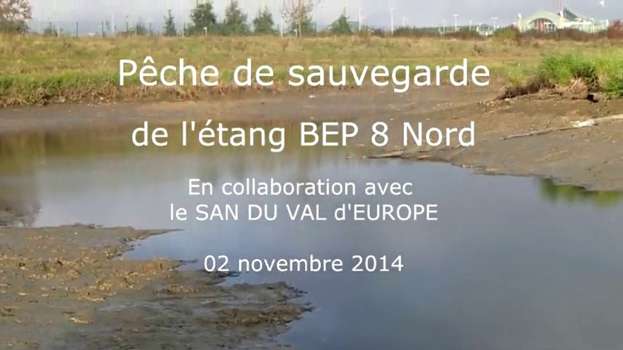 Pêche de sauvegarde - Etang BEP 8 Nord - Novembre 2014