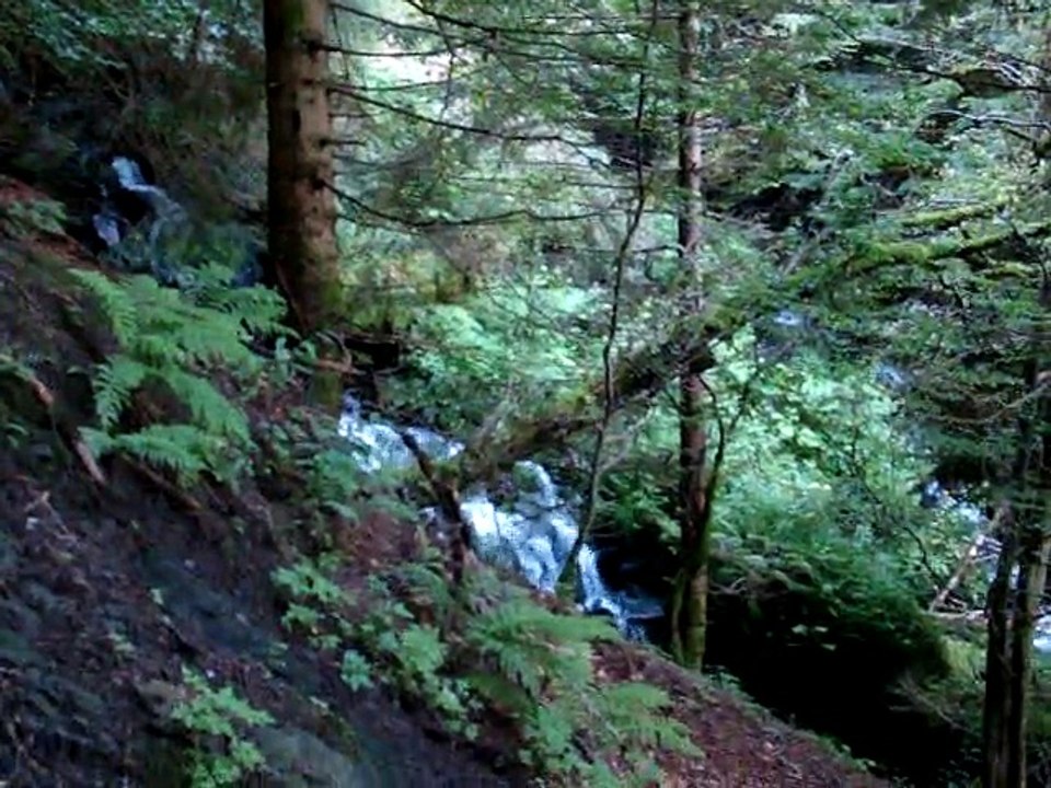 la Grande Cascade du Mont Dore 031