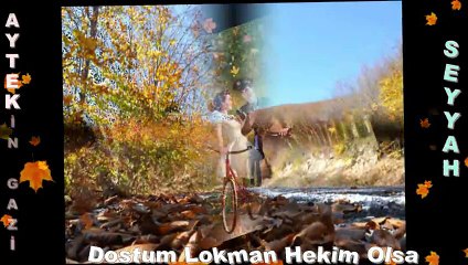 Dostum Lokman Hekim Olsa - Seyyah-Aytekin Gazi