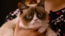 First Look at Grumpy Cat's Worst Christmas Ever