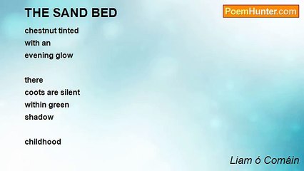 Liam ó Comáin - THE SAND BED