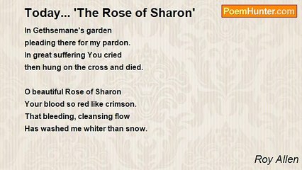 Roy Allen - Today... 'The Rose of Sharon'