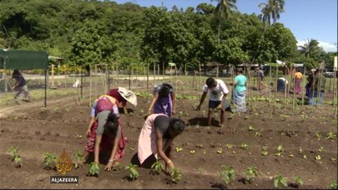 Samoans devise means to mitigate disasters
