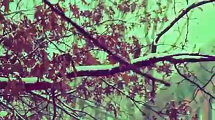 Molana Tariq jameel Sahab amazing bayan