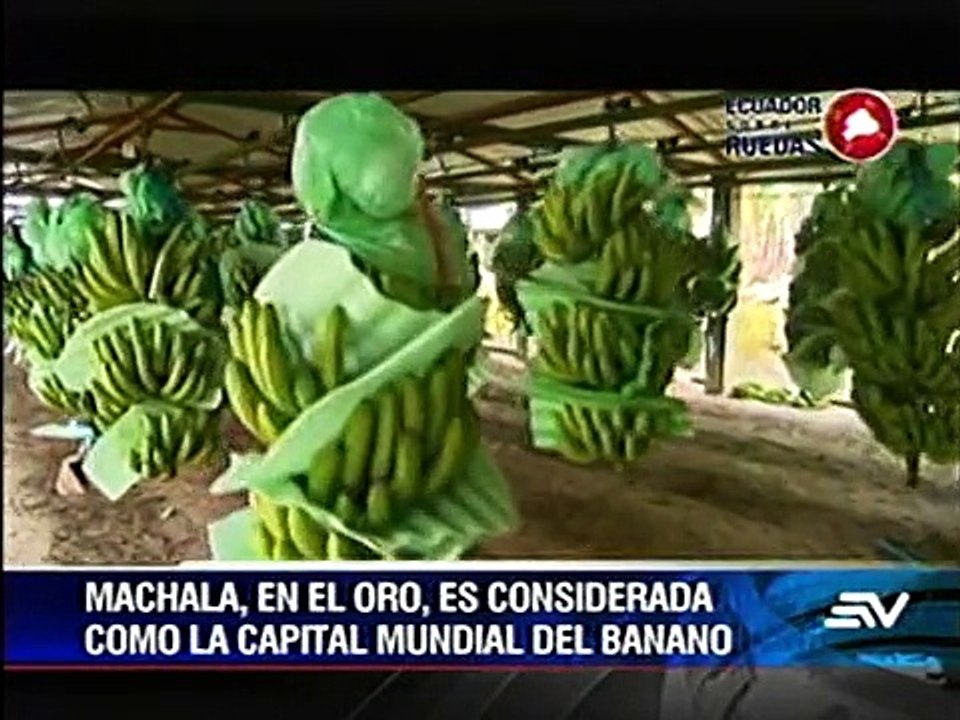 La próspera ciudad de Machala