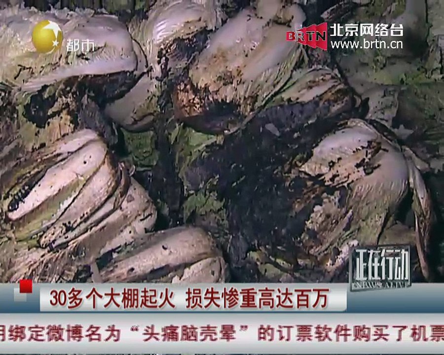 今晚我们相识 2014-11-03