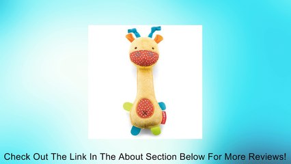 Skip Hop Giraffe Safari Squeeze Me Rattle Toy Review