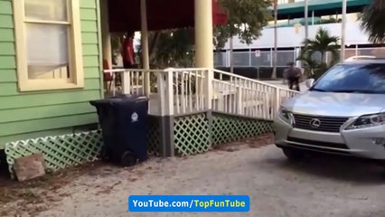 Funny Videos - Fail Compilation - Funny Pranks - Funny People - Funny Clips - Funny Fails #18