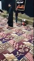 ماحصل في قريه الدالوه 1436 محرم