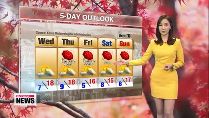 Bright and warm autumn conditions throughout the day