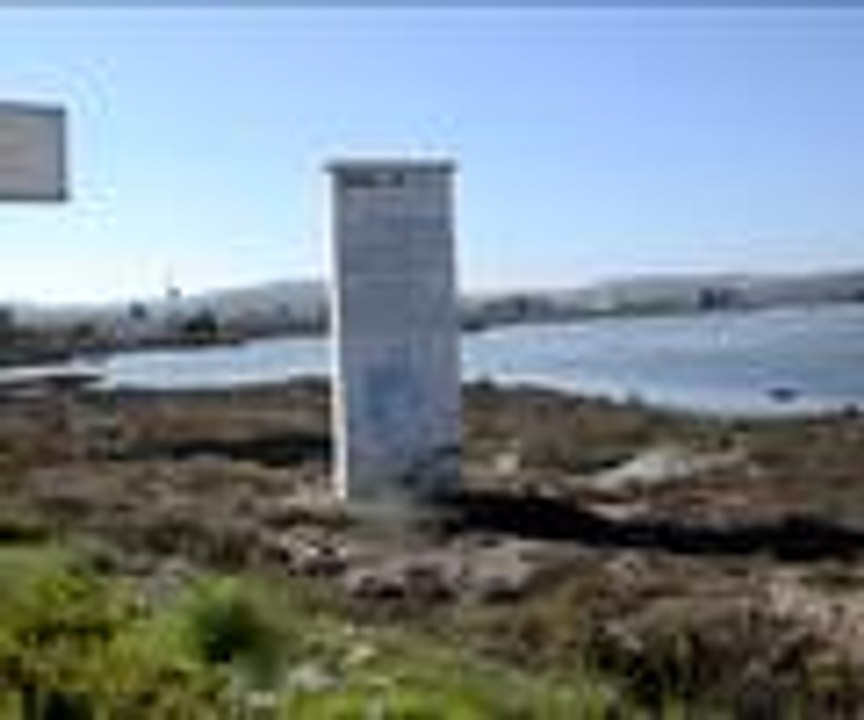 Flamingoların göç yolculuğu başladı