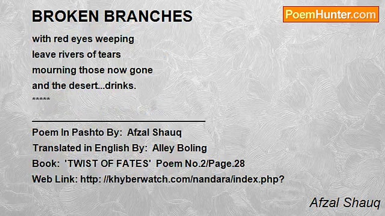 Afzal Shauq - BROKEN BRANCHES