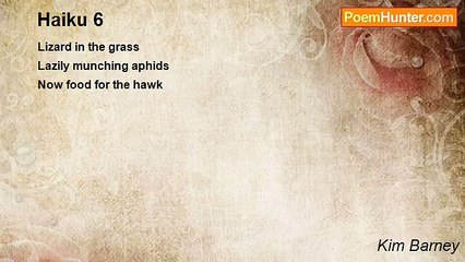 Kim Barney - Haiku 6