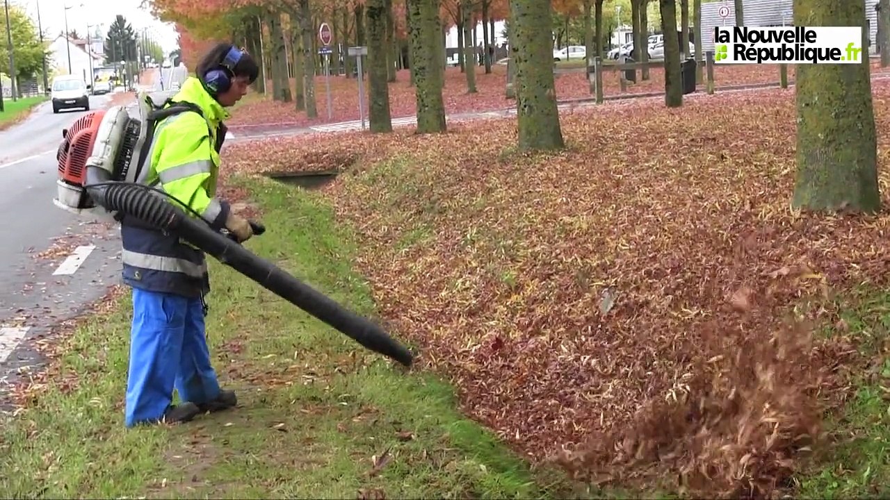 VIDEO. Blois : Les feuilles mortes se ramassent au souffleur