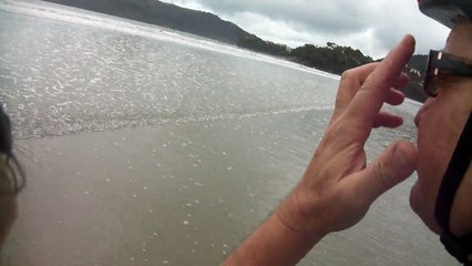 Praia da Enseada, Ubatuba, SP, Brasil, Marcelo Ambrogi, Saúde e Vida, 003