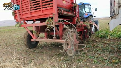 Ağrı Şeker Fabrikası Kapatılıyormu