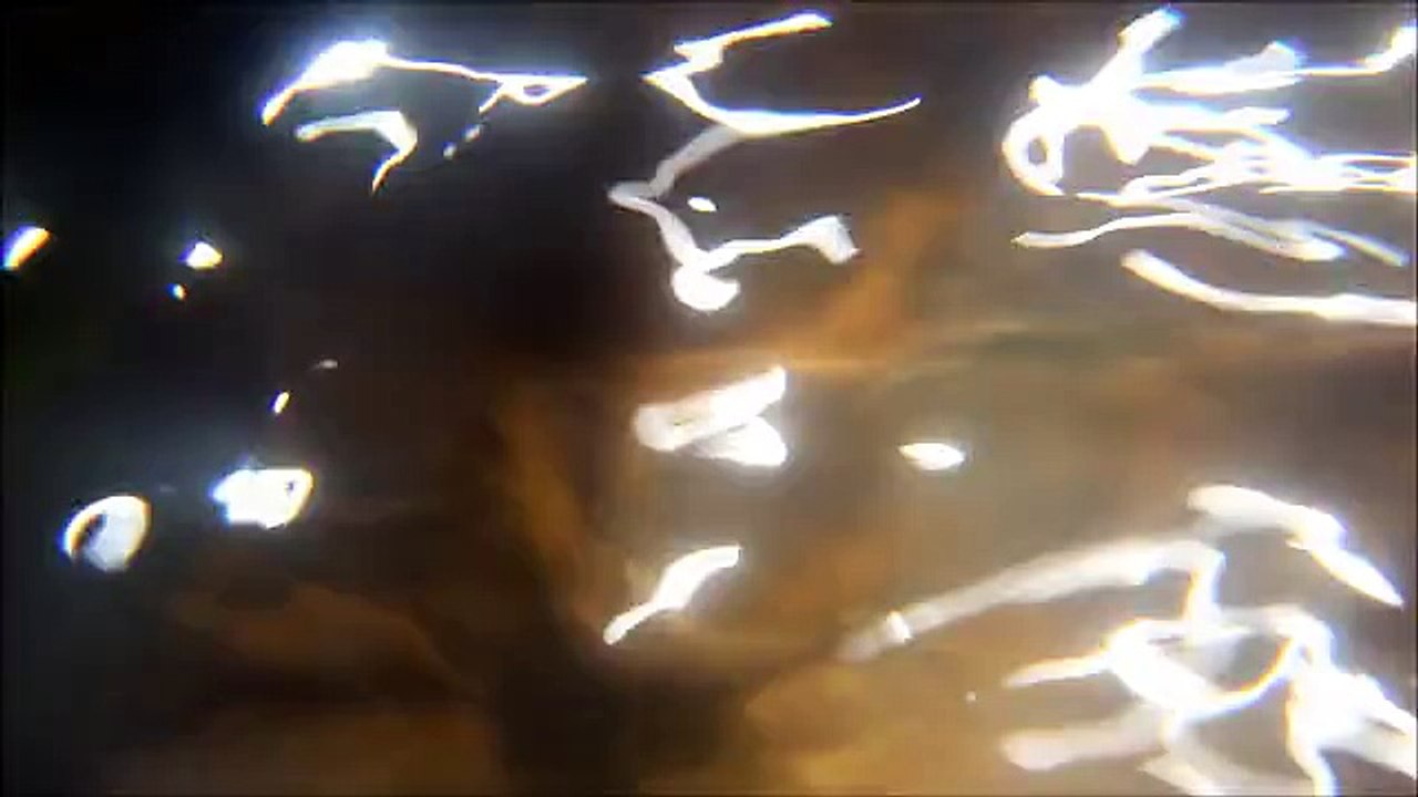 La magie du ruisseau, hommage à Dominique Kubler