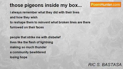 RIC S. BASTASA - those pigeons inside my box...