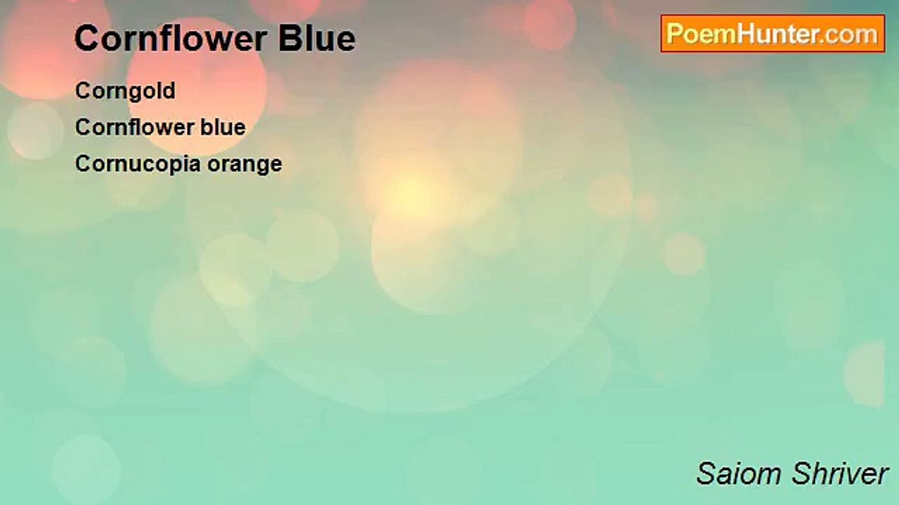 Saiom Shriver - Cornflower Blue